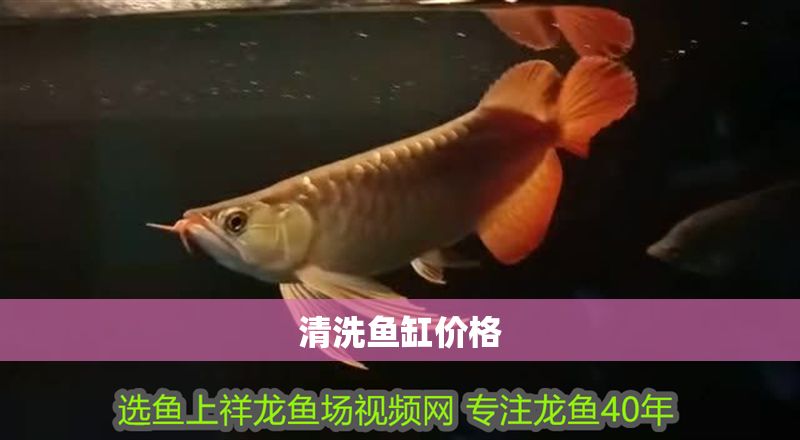 清洗魚缸價格
