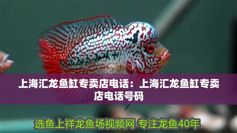 上海匯龍魚缸專賣店電話：上海匯龍魚缸專賣店電話號(hào)碼