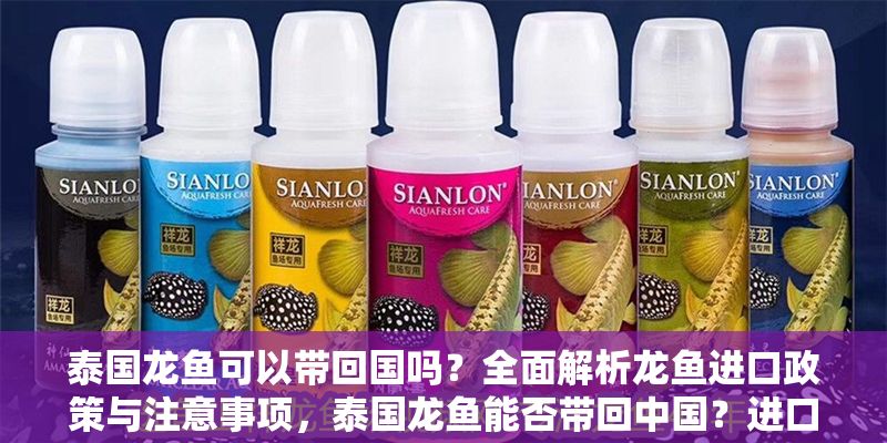 泰國龍魚可以帶回國嗎？全面解析龍魚進口政策與注意事項，泰國龍魚能否帶回中國？進口政策與注意事項全指南