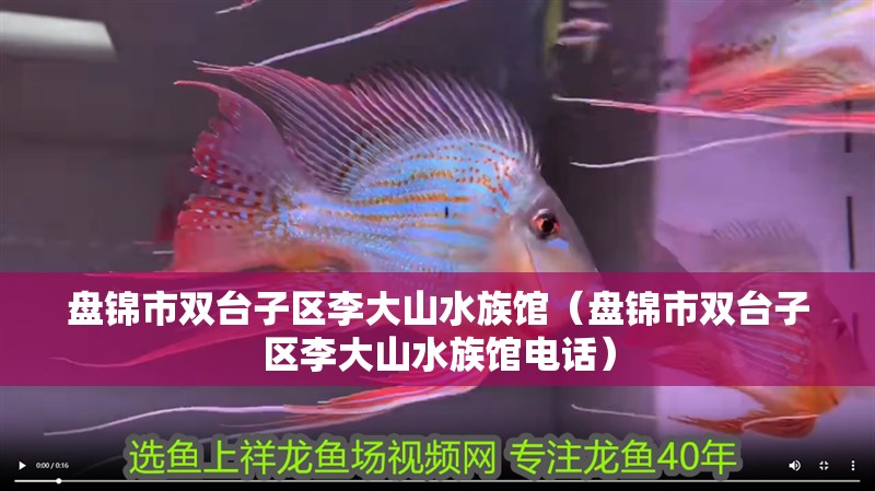盤錦市雙臺子區李大山水族館（盤錦市雙臺子區李大山水族館電話）