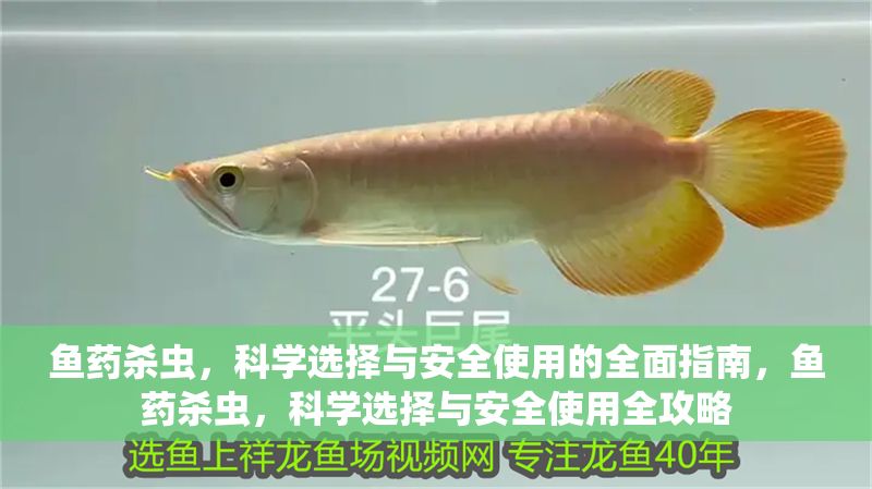 魚藥殺蟲，科學選擇與安全使用的全面指南，魚藥殺蟲，科學選擇與安全使用全攻略