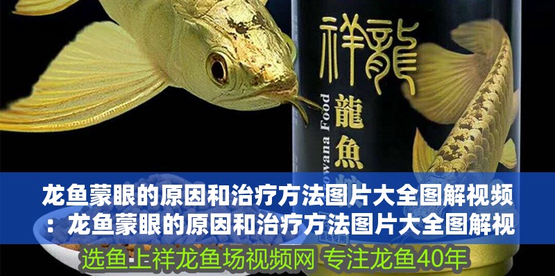 龍魚蒙眼的原因和治療方法圖片大全圖解視頻：龍魚蒙眼的原因和治療方法圖片大全圖解視頻教程