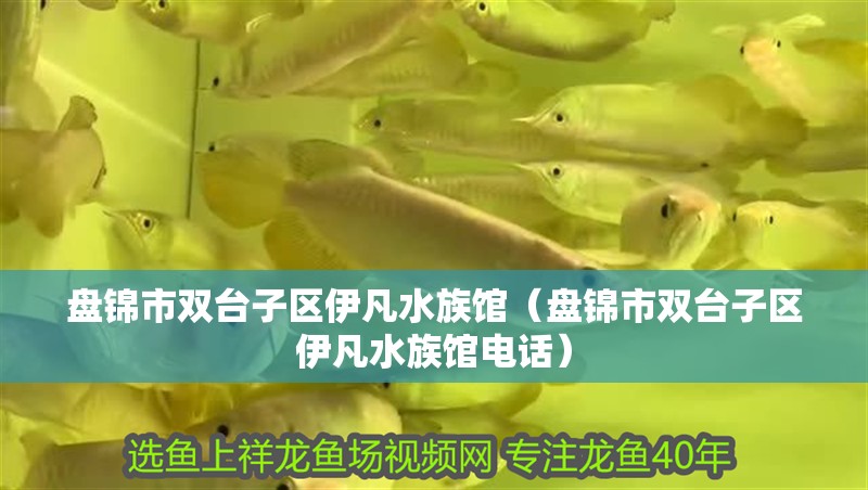 盤錦市雙臺子區伊凡水族館(盤錦市雙臺子區伊凡水族館電話) 全國水族館企業名錄 第1張 盤錦市雙臺子區伊凡水族館(盤錦市雙臺子區伊凡水族館電話) 盤錦市雙臺子區伊凡水族館(盤錦市雙臺子區伊凡水族館電話) 全國水族館企業名錄 第1張