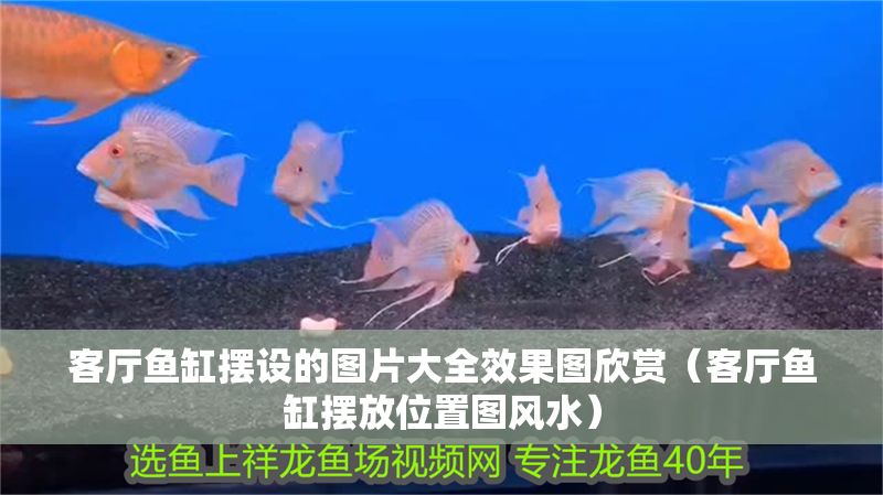 客廳魚缸擺設(shè)的圖片大全效果圖欣賞（客廳魚缸擺放位置圖風(fēng)水）