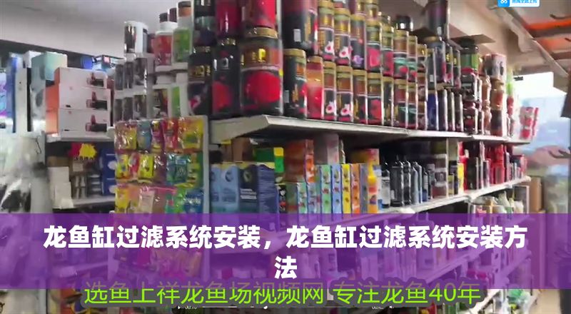 龍魚(yú)缸過(guò)濾系統(tǒng)安裝，龍魚(yú)缸過(guò)濾系統(tǒng)安裝方法