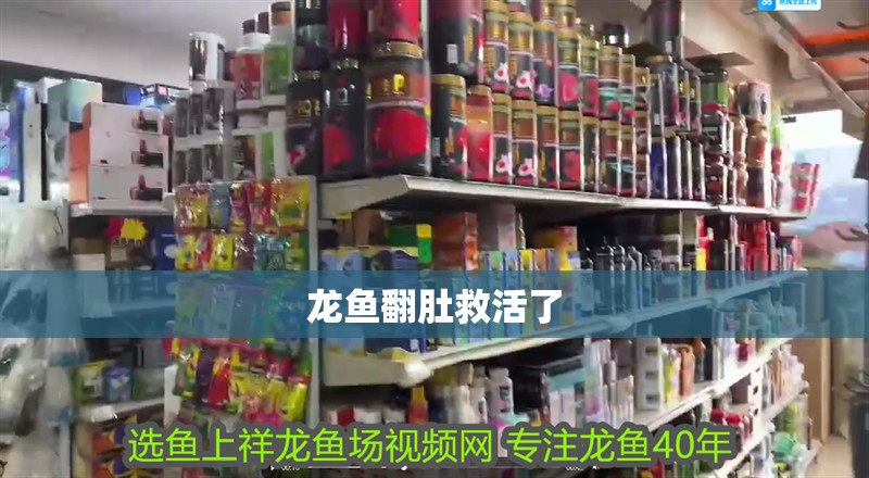 龍魚翻肚救活了