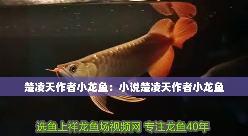 楚凌天作者小龍魚：小說楚凌天作者小龍魚
