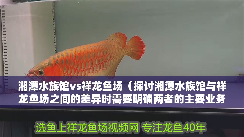 湘潭水族館vs祥龍魚場（探討湘潭水族館與祥龍魚場之間的差異時需要明確兩者的主要業務和特點）