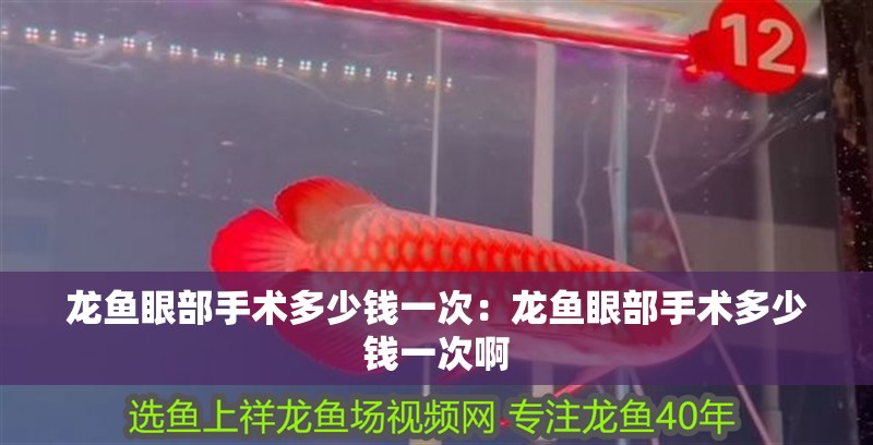龍魚眼部手術多少錢一次：龍魚眼部手術多少錢一次啊