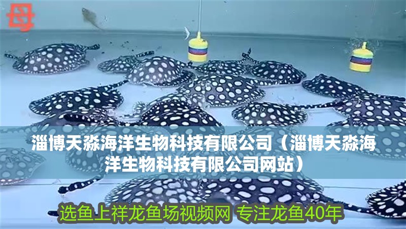 淄博天淼海洋生物科技有限公司（淄博天淼海洋生物科技有限公司網站）