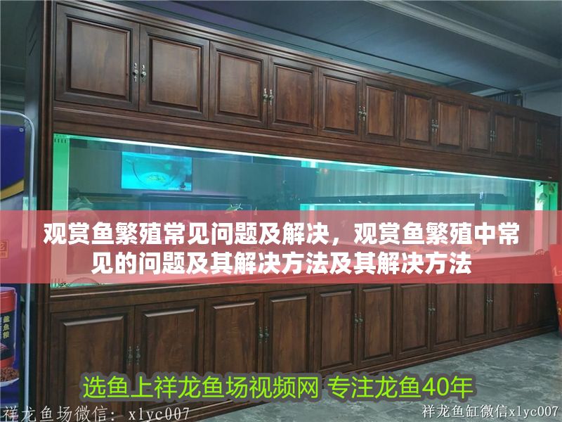 觀賞魚繁殖常見問題及解決，觀賞魚繁殖中常見的問題及其解決方法及其解決方法