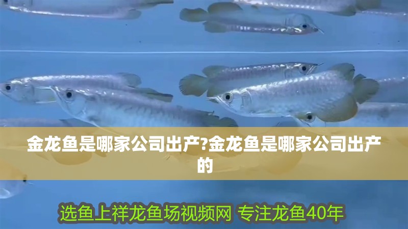 金龍魚是哪家公司出產?金龍魚是哪家公司出產的