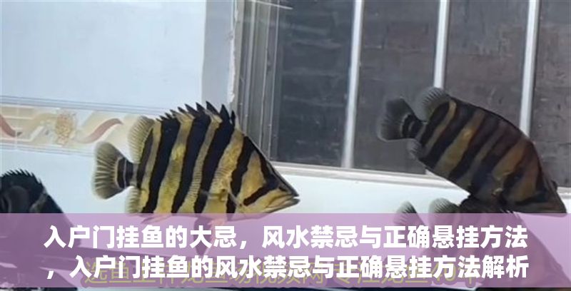 入戶門掛魚的大忌，風(fēng)水禁忌與正確懸掛方法，入戶門掛魚的風(fēng)水禁忌與正確懸掛方法解析