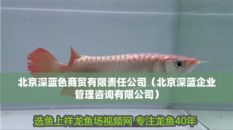 北京深藍色商貿有限責任公司（北京深藍企業管理咨詢有限公司）