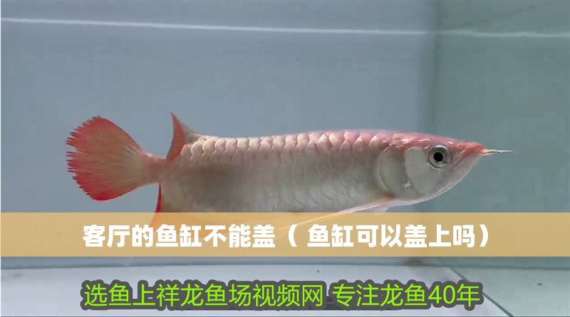 客廳的魚缸不能蓋（ 魚缸可以蓋上嗎）