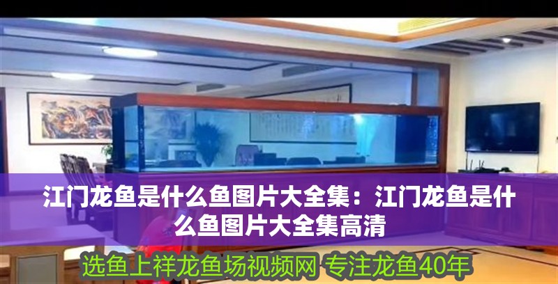 森森定時轉換器說明書DC-01