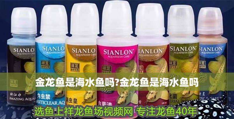 金龍魚是海水魚嗎?金龍魚是海水魚嗎