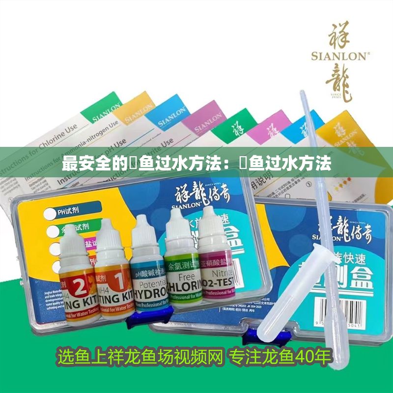 最安全的魟魚過水方法：魟魚過水方法