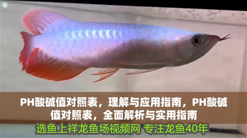 PH酸堿值對照表，理解與應用指南，PH酸堿值對照表，全面解析與實用指南