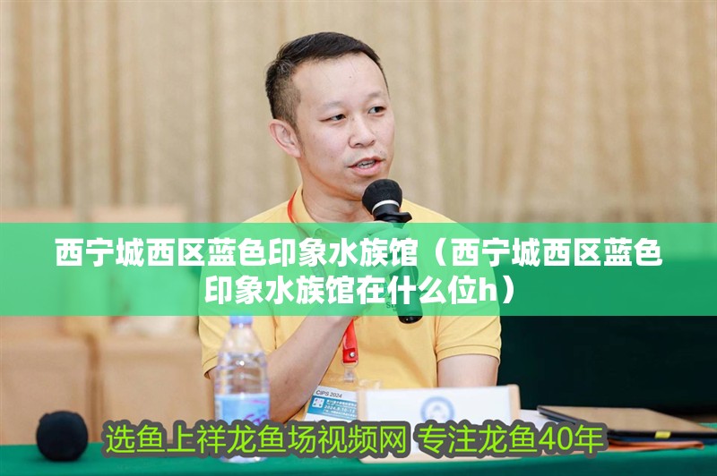 西寧城西區藍色印象水族館(西寧城西區藍色印象水族館在什么位h) 全國水族館企業名錄 第1張 西寧城西區藍色印象水族館(西寧城西區藍色印象水族館在什么位h) 西寧城西區藍色印象水族館(西寧城西區藍色印象水族館在什么位h) 全國水族館企業名錄 第1張