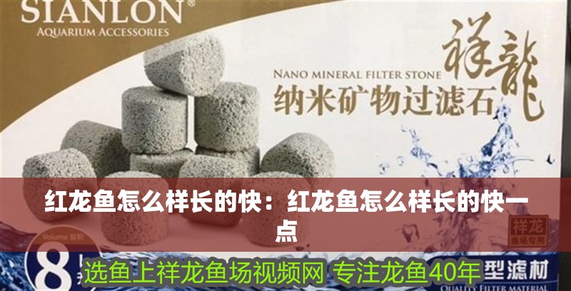 紅龍魚怎么樣長的快：紅龍魚怎么樣長的快一點