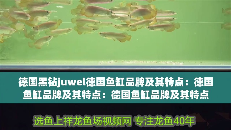 德國黑鉆juwel德國魚缸品牌及其特點：德國魚缸品牌及其特點：德國魚缸品牌及其特點