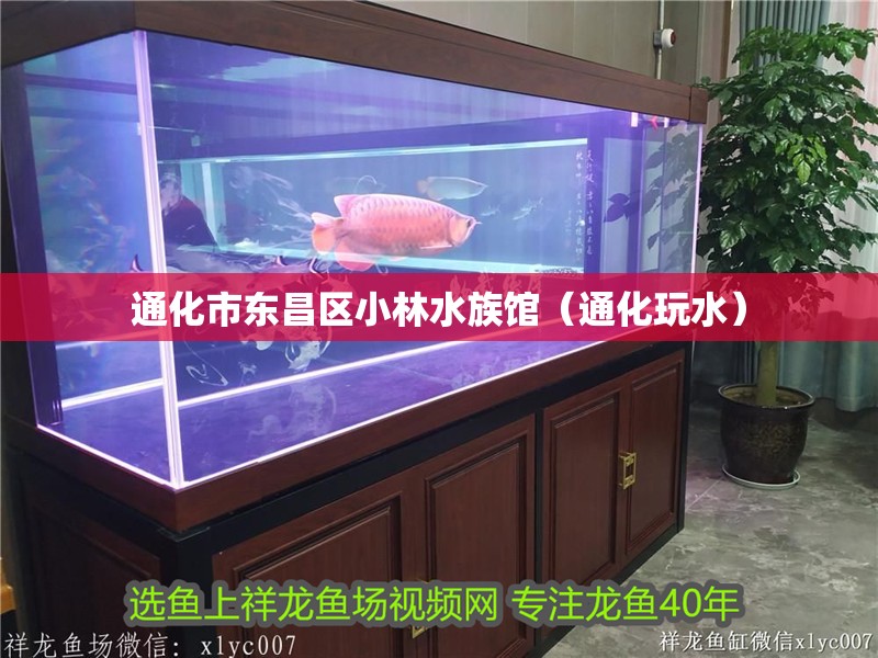 通化市東昌區小林水族館（通化玩水）