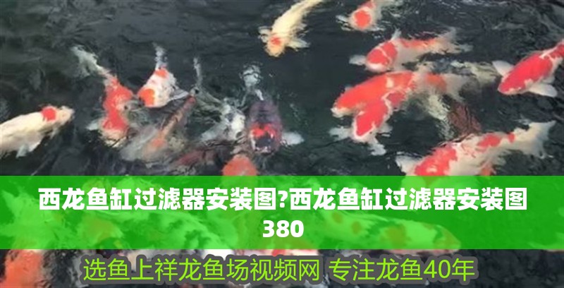 西龍魚缸過濾器安裝圖?西龍魚缸過濾器安裝圖380