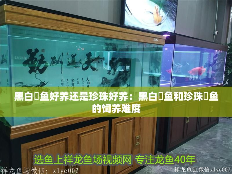黑白魟魚好養還是珍珠好養：黑白魟魚和珍珠魟魚的飼養難度