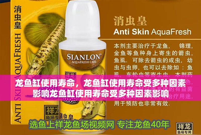 龍魚缸使用壽命，龍魚缸使用壽命受多種因素影響龍魚缸使用壽命受多種因素影響