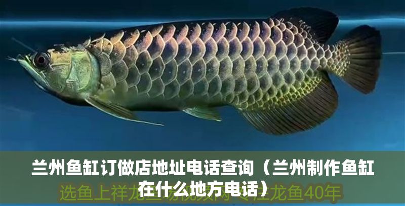 蘭州魚缸訂做店地址電話查詢（蘭州制作魚缸在什么地方電話）