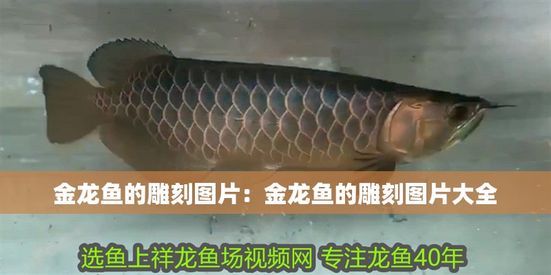 金龍魚的雕刻圖片：金龍魚的雕刻圖片大全