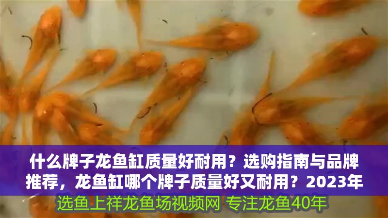 什么牌子龍魚缸質量好耐用？選購指南與品牌推薦，龍魚缸哪個牌子質量好又耐用？2023年高性價比品牌選購指南