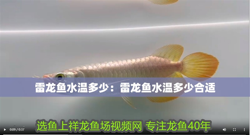 雷龍魚水溫多少：雷龍魚水溫多少合適
