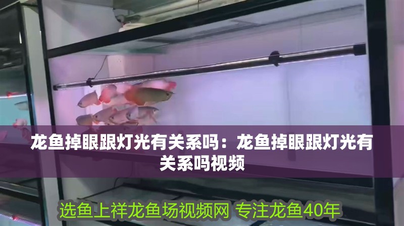 龍魚掉眼跟燈光有關系嗎：龍魚掉眼跟燈光有關系嗎視頻