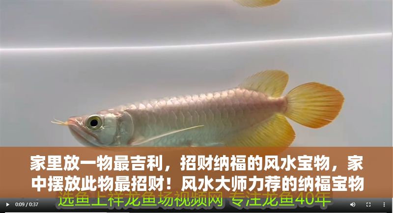 家里放一物最吉利，招財納福的風水寶物，家中擺放此物最招財！風水大師力薦的納福寶物