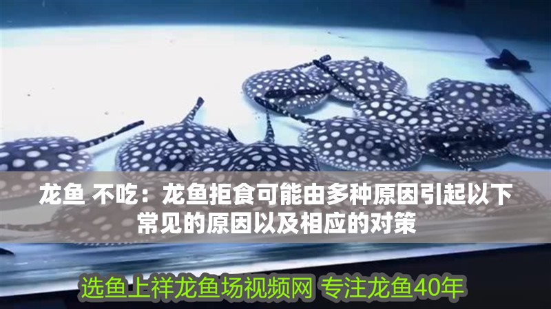 龍魚 不吃：龍魚拒食可能由多種原因引起以下常見的原因以及相應的對策