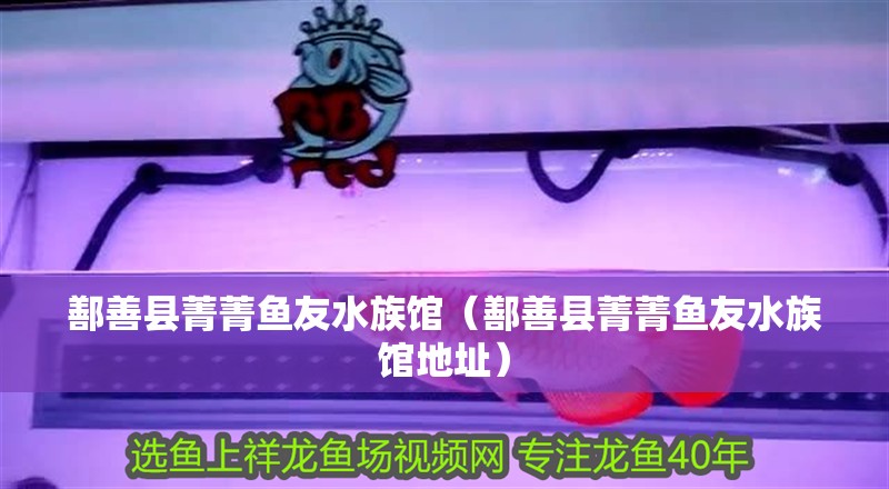 鄯善縣菁菁魚友水族館（鄯善縣菁菁魚友水族館地址）