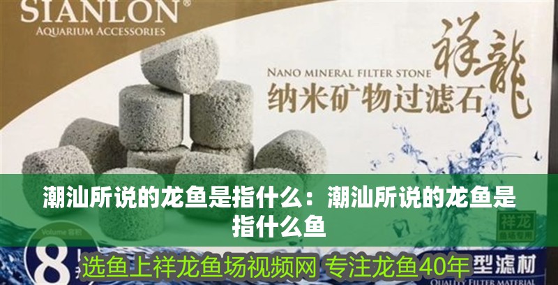 潮汕所說的龍魚是指什么：潮汕所說的龍魚是指什么魚