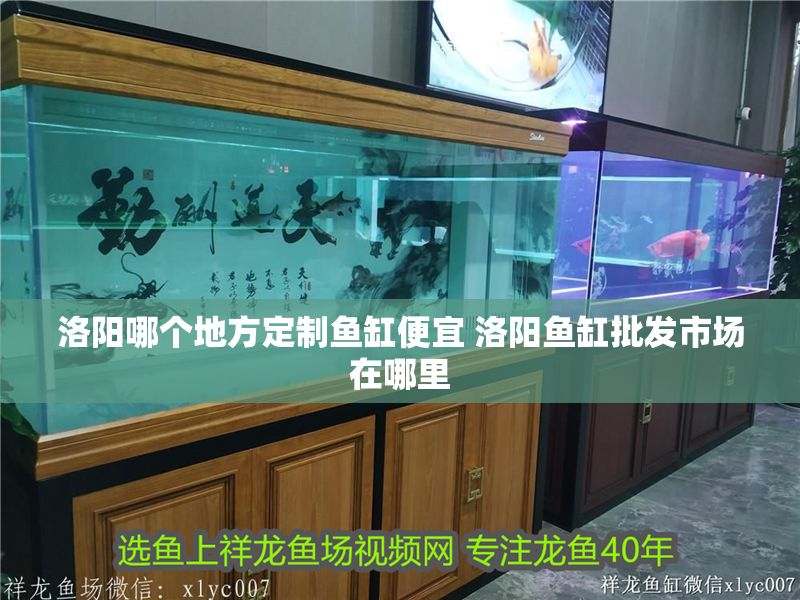 洛陽哪個地方定制魚缸便宜 洛陽魚缸批發(fā)市場在哪里
