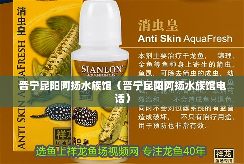 晉寧昆陽(yáng)阿揚(yáng)水族館（晉寧昆陽(yáng)阿揚(yáng)水族館電話）