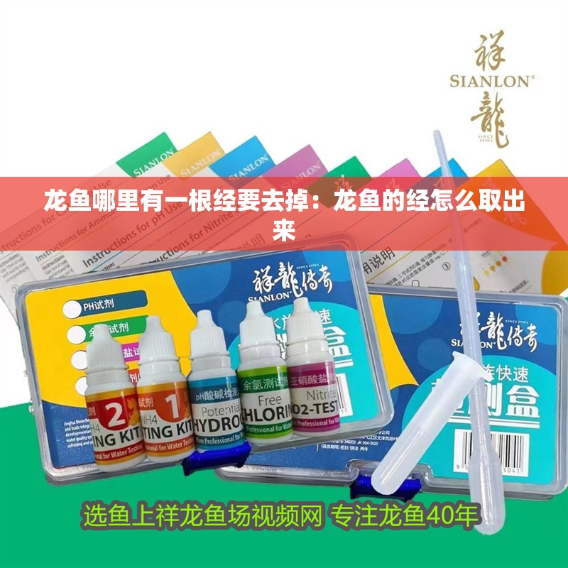 龍魚哪里有一根經要去掉：龍魚的經怎么取出來