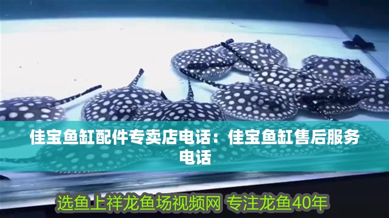 佳寶魚缸配件專賣店電話：佳寶魚缸售后服務電話