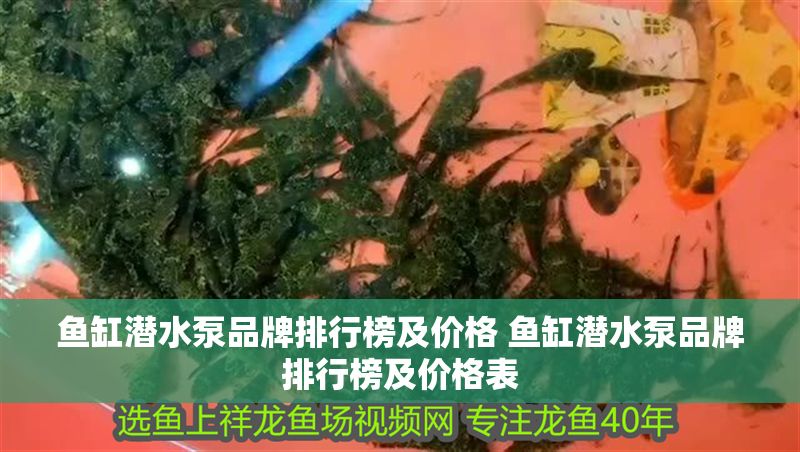 魚缸潛水泵品牌排行榜及價(jià)格 魚缸潛水泵品牌排行榜及價(jià)格表