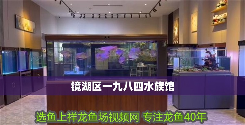 鏡湖區(qū)一九八四水族館