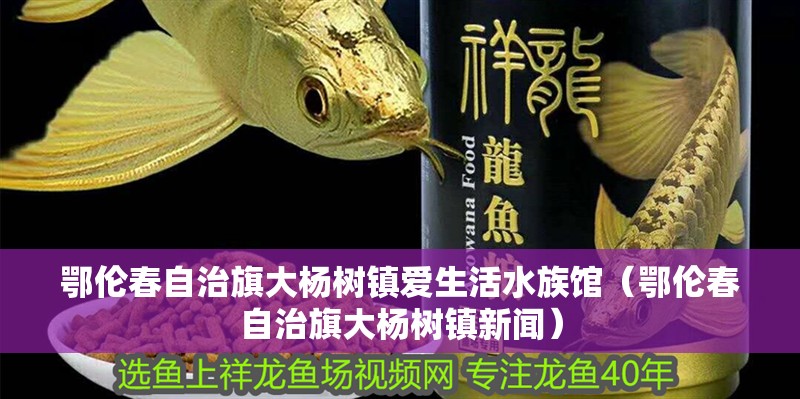 鄂倫春自治旗大楊樹鎮愛生活水族館（鄂倫春自治旗大楊樹鎮新聞）