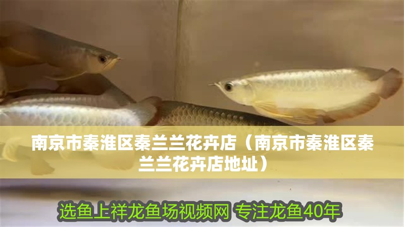 南京市秦淮區(qū)秦蘭蘭花卉店（南京市秦淮區(qū)秦蘭蘭花卉店地址）