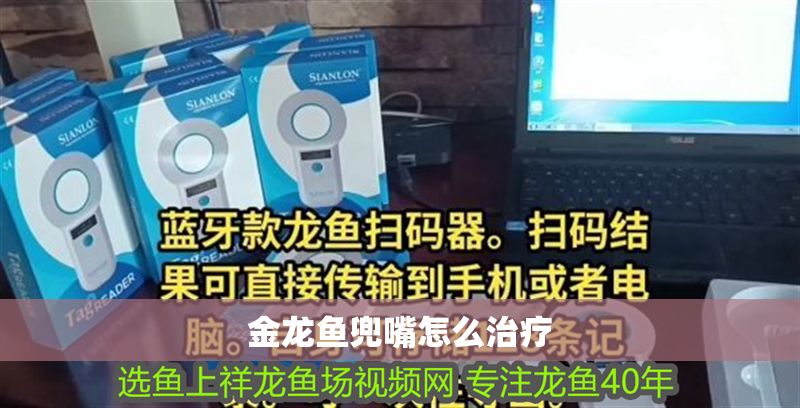 金龍魚(yú)兜嘴怎么治療