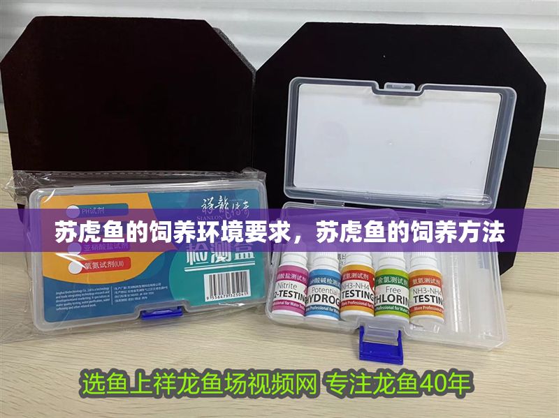 蘇虎魚的飼養(yǎng)環(huán)境要求，蘇虎魚的飼養(yǎng)方法