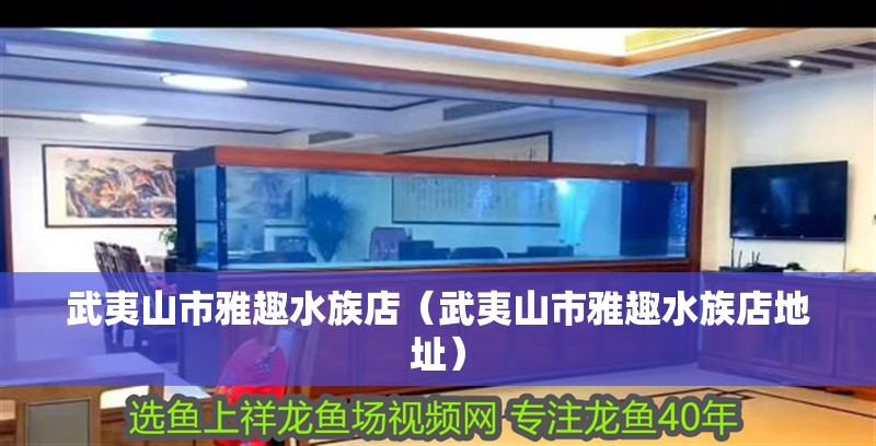 武夷山市雅趣水族店（武夷山市雅趣水族店地址）